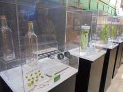 񂳂̈ɓ킳у~[WAւ̓eʐ^7