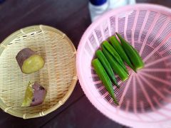 ܂񂳂NPO@l whό&̌̉ւ̓eʐ^1