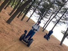 ǂ炦񂨂₶̒捻uZOEFCVKChcA[ւ̓eʐ^1