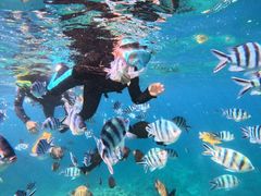 Ȃ̃_Cu (MalDive)ւ̓eʐ^1