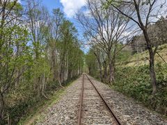 �g���b�R�������[�̎ʐ^1