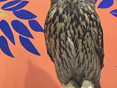 ܂̃ANAtHXg@-̐X-ւ̓eʐ^1