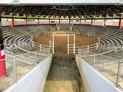 �Ðh�F����̓��V�� �Ȃ����݊ق̓��e�ʐ^4