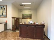 harusueglise de tR̓eʐ^1