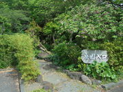 񂳂̏Íb{X G̓eʐ^17