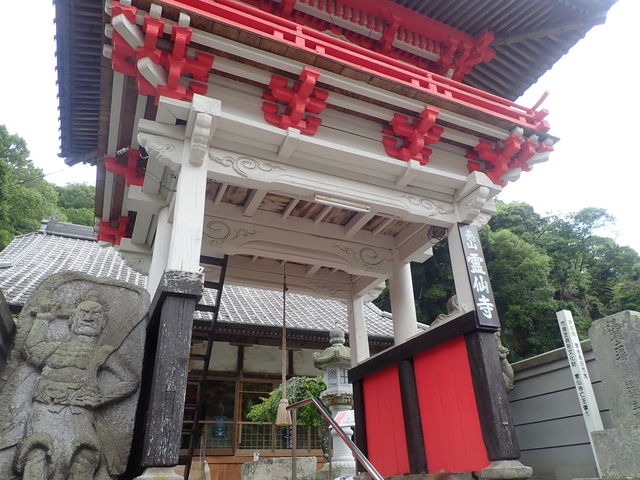 �}�C�a�n�n����̗�厛�̓��e�ʐ^1