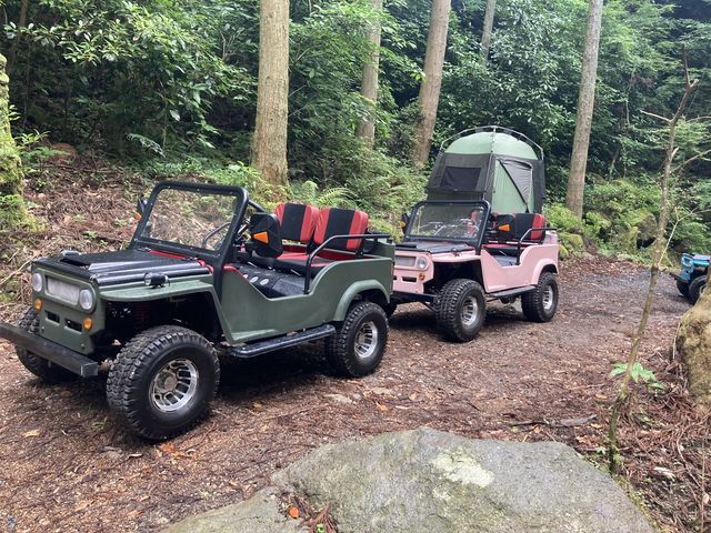 �v�`�o�M�[�I_���X�g�n�E�X�@�X�̂����/�A�N�e�B�r�e�B�v���l�b�g�_��