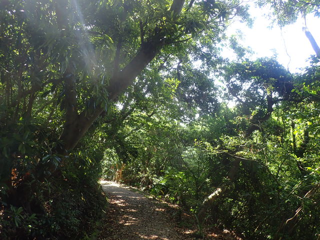 �_�O�����V����