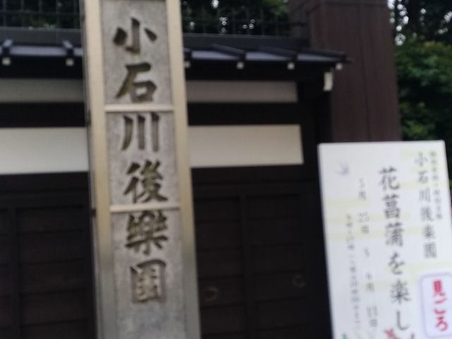 ������_��y���̃n�i�V���E�u