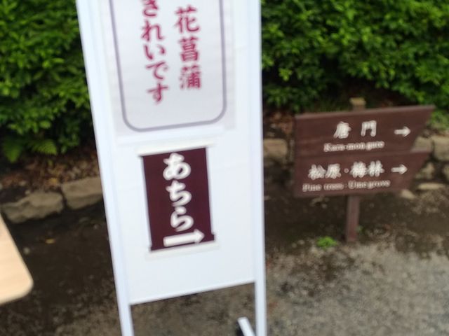 ������_��y���̃n�i�V���E�u