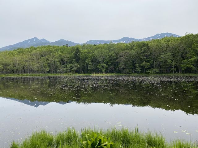 ��_�m�����R�̌��v���O�������̎���