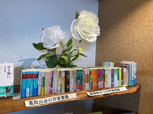 ���m�������w��_���m�������w��