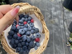 c̃u[x[hVtgւ̓eʐ^1