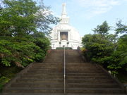 �}�C�a�n�n����̕��ɗ����̓��e�ʐ^1