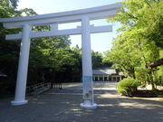 }Cann̋{茧썑_Ђ̓eʐ^1