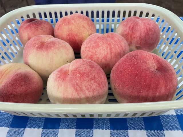 ������莩�R�I�H�ו���I_������