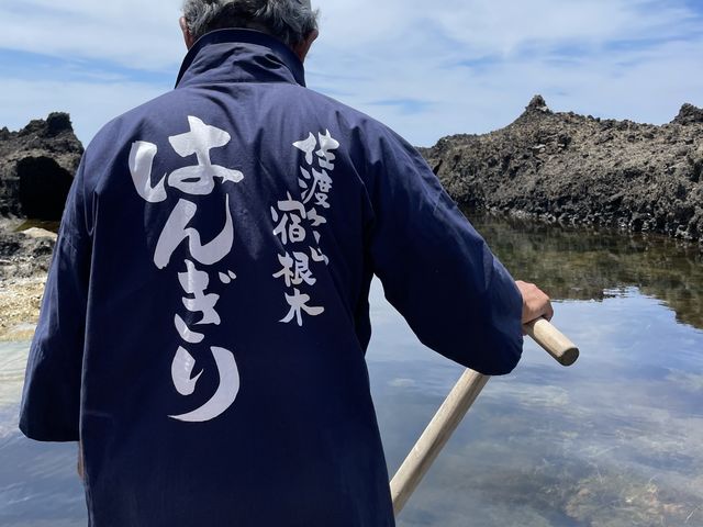 �D������ō��ł���_�h���؂͂񂬂�(���炢�M)