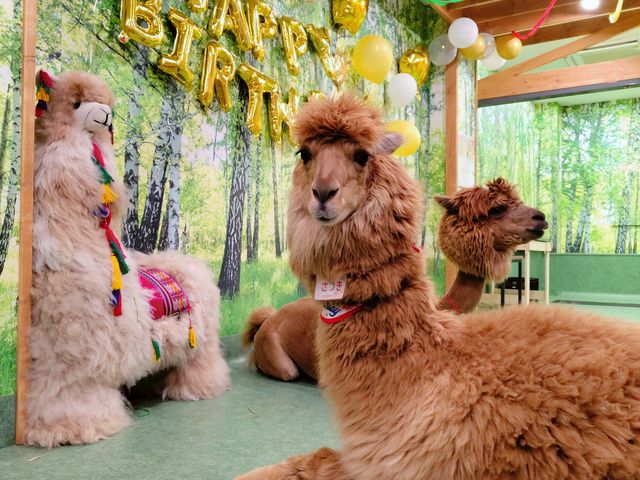 �܂����胂�[�h_�A���p�J�ӂꂠ�������h