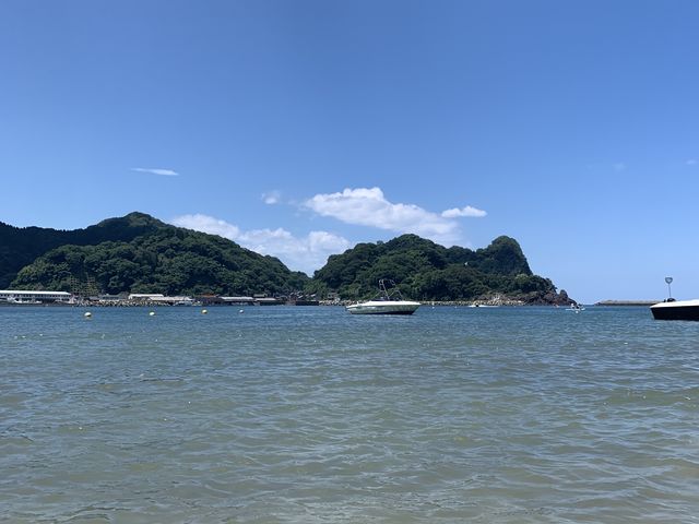 �V�C�悵�B���͑�������B_�W�Isen.s