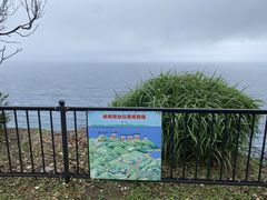 ӂ񂳂̑Δn쐶یZ^[ւ̓eʐ^1