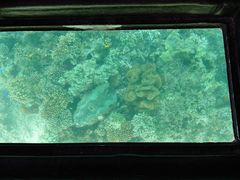 񂿂񂳂̐약}T[rXւ̓eʐ^1