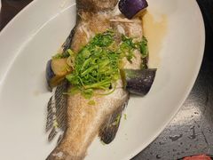 肳̌˓c` ۂւ̓eʐ^1