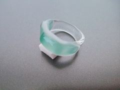 folium̃KXX^WI@uGւ̓eʐ^1