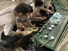 masar����̃~���N���~�z�̊��q�U���c�A�[�ւ̓��e�ʐ^1