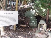 �C�C�ꃉ�C�_�[����̏��쏬���̕�i�R�������֎s�j�̓��e�ʐ^1