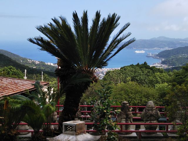 �ɓ��̊C��������W�]�G���A���V�������i��ł��܂��B_�����݊ω���