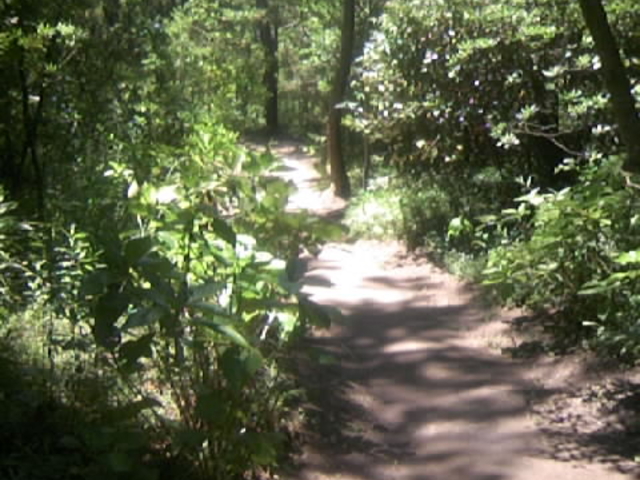 Tv̂͂܎ORΒn̓eʐ^2