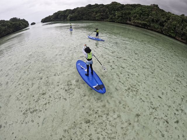 �약�p��SUP_PADDLE&NAPS