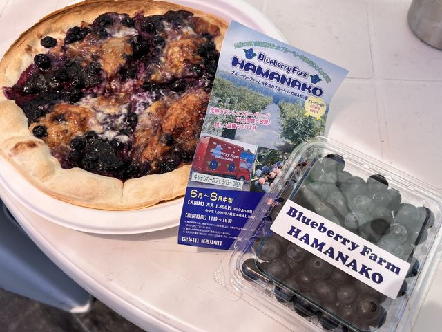 �u���[�x���[�s�U_Blueberry Farm HAMANAKO
