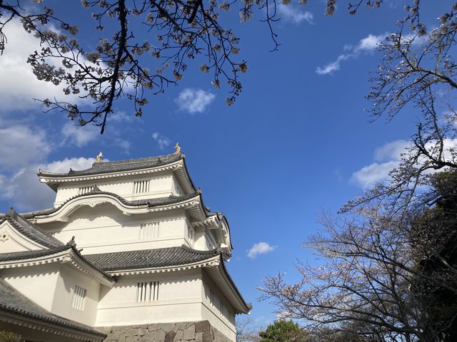 �命�쒬�ό��{�w