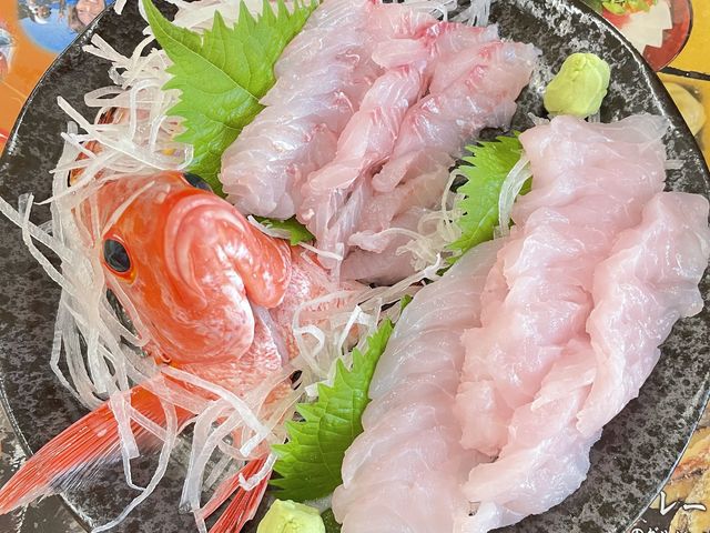 �������͂��h�g�ɁI_�炢�����