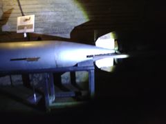 R̒̊CR̒@ɂ@Ђ݂n~[WA̎ʐ^2