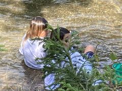 肦̋skR̗Z^[ւ̓eʐ^1