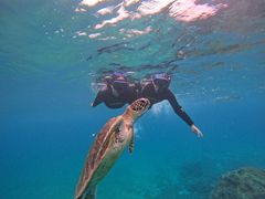 alohaCHURA{Óւ̓eʐ^1