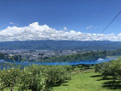 �Ȃ���̎O�a�ό��_���ւ̓��e�ʐ^2