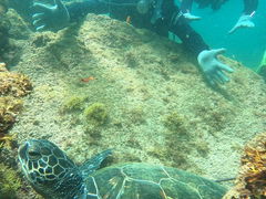 zoroñ_CrOXN[@XeCh[ւ̓eʐ^1