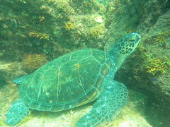 zoroñ_CrOXN[@XeCh[ւ̓eʐ^2