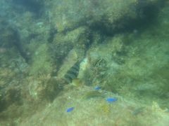 zoroñ_CrOXN[@XeCh[ւ̓eʐ^3