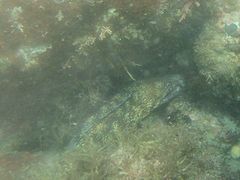 zoroñ_CrOXN[@XeCh[ւ̓eʐ^4