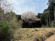 �C�C�ꃉ�C�_�[����̋������̓��e�ʐ^1