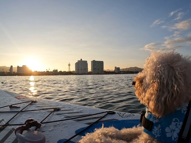 ̃񂪔ɑlĂ_SUP GUIDE KAMOGAWA