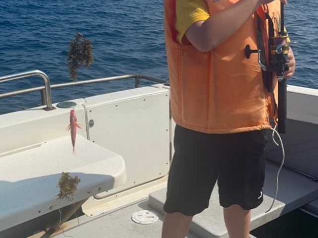 fisrt half section_�J�i�n�t�B�b�V���O����