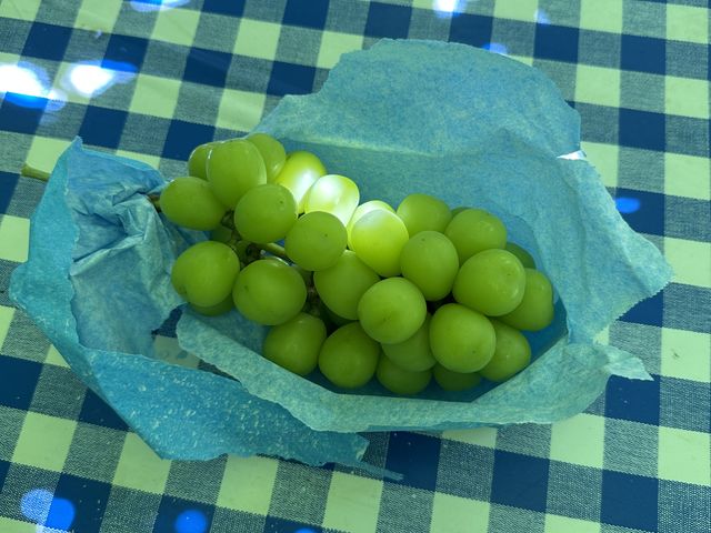 ��Ԃ�ȃV���C���}�X�J�b�g_�R����