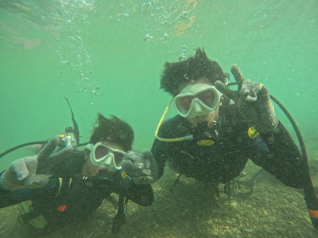 �C���������[_����}�����T�[�r�X��