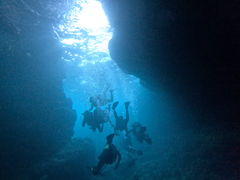 ^P̐̓AJiT_CrOւ̓eʐ^1