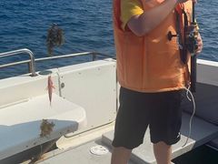 Tim̃JintBbVOւ̓eʐ^1